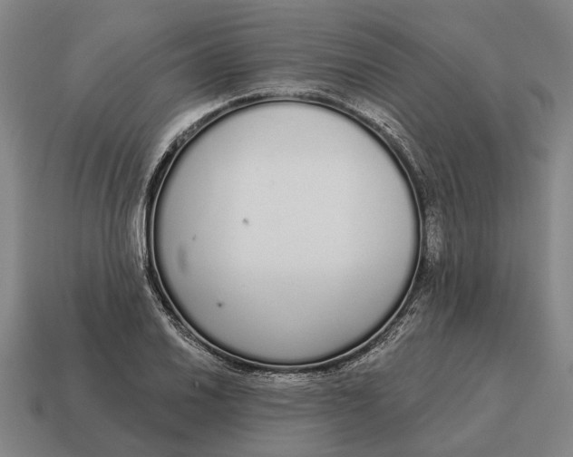X0000115111030200911101601
