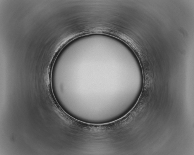 X0000115111031200911101601