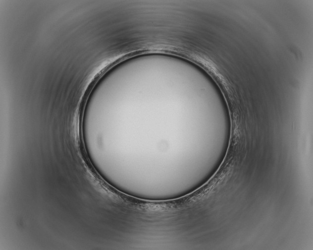 X0000115111032200911101601