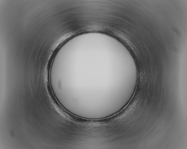 X0000115111034200911101601