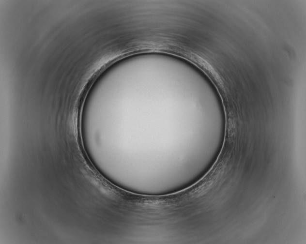 X0000115111035200911101601