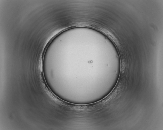 X0000115111036200911101601
