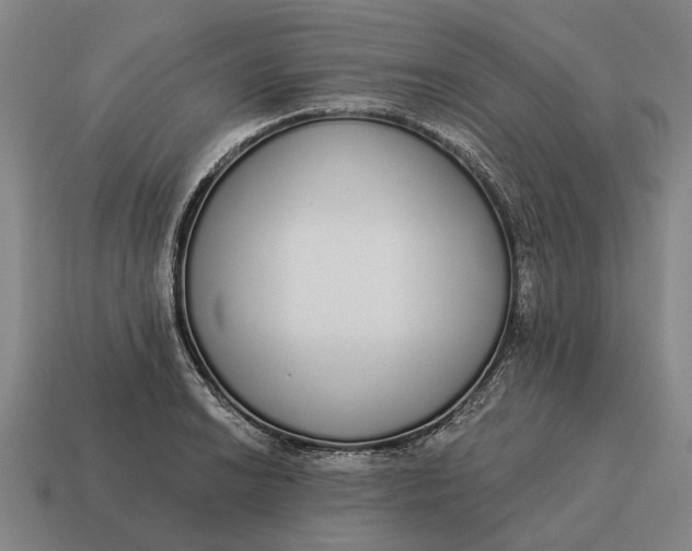 X0000115111038200911101601