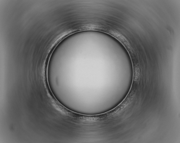 X0000115111039200911101601