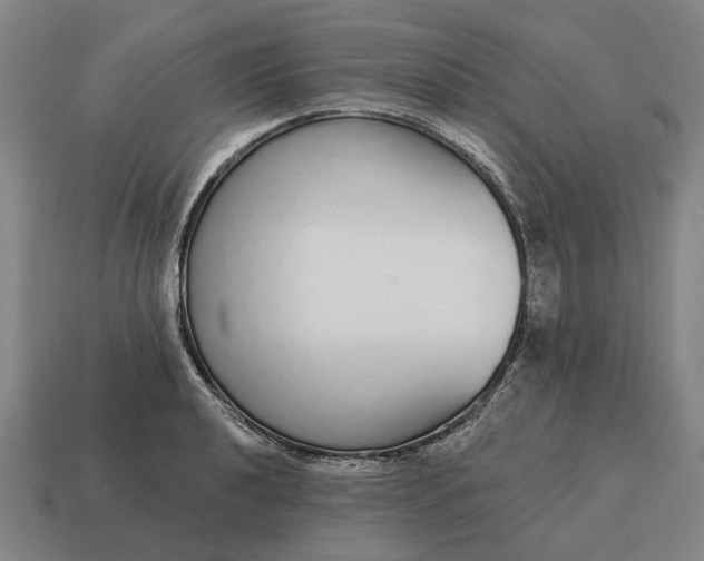 X0000115111040200911101601