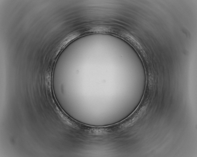 X0000115111041200911101601
