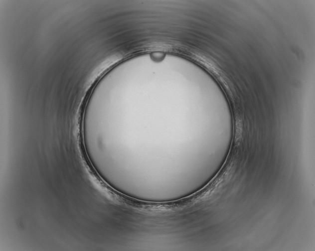 X0000115111042200911101601