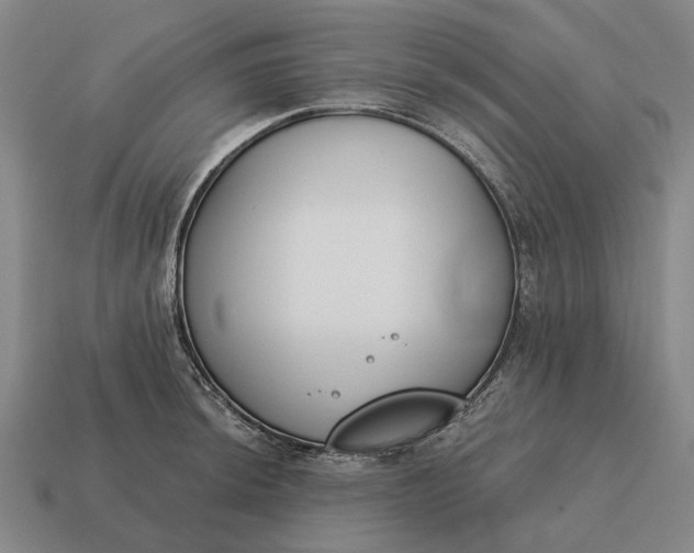 X0000115111044200911101601