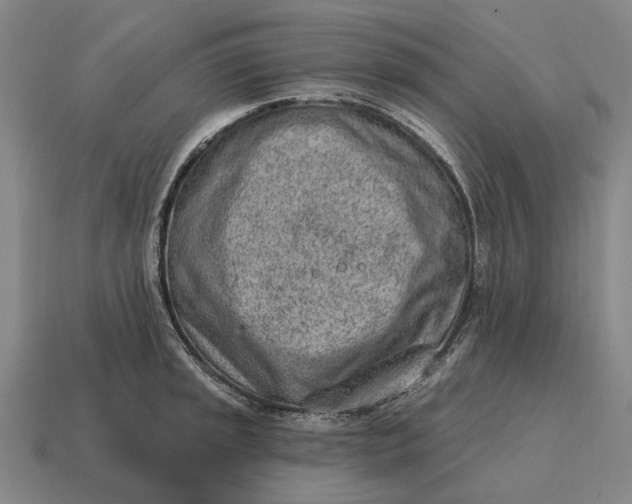 X0000115111045200911101601