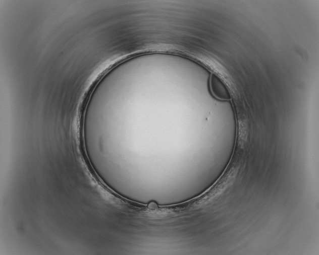 X0000115111046200911101601