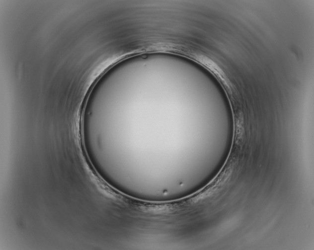 X0000115111047200911101601