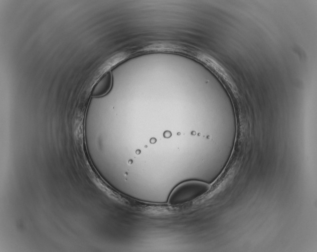 X0000115111049200911101601