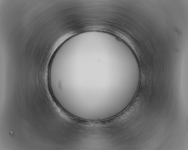 X0000115111050200911101601