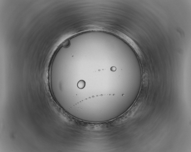 X0000115111051200911101601