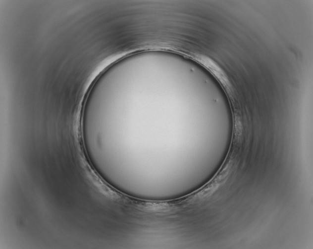 X0000115111052200911101601