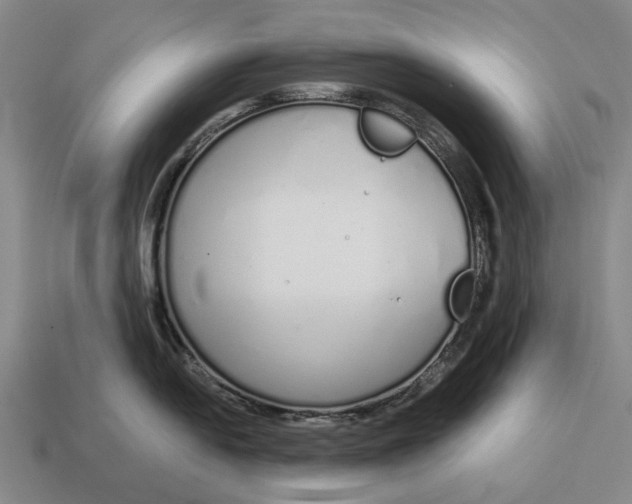 X0000115111054200911101601
