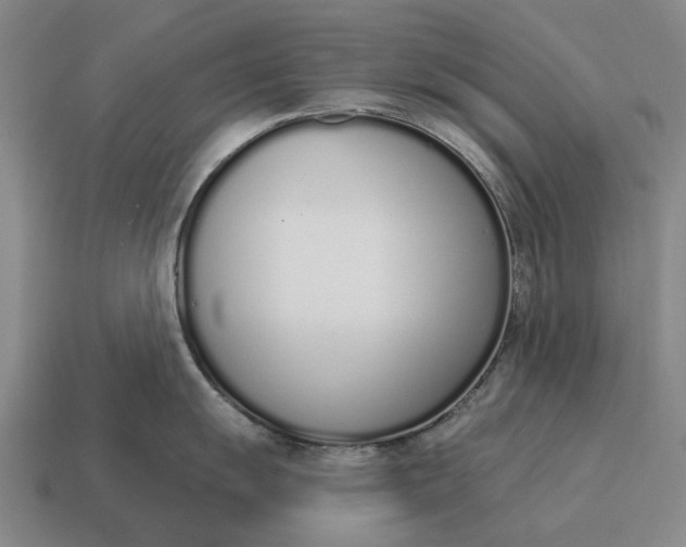X0000115111055200911101601