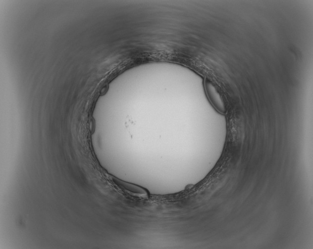 X0000115111057200911101601