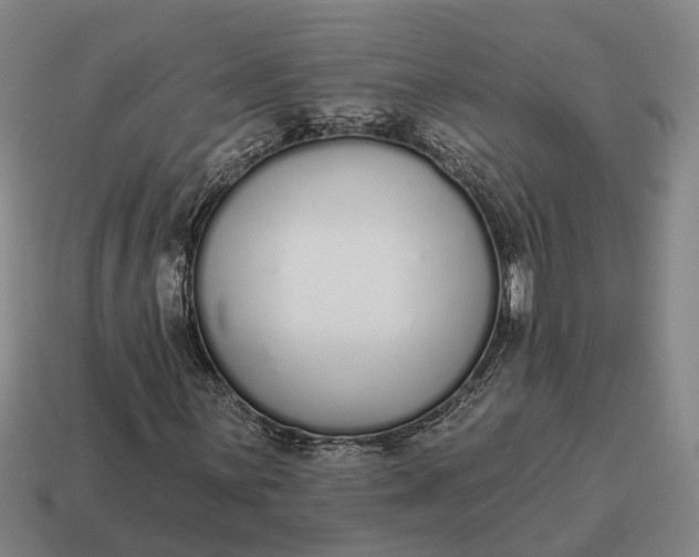 X0000115111059200911101601