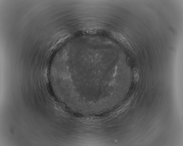 X0000115111060200911101601