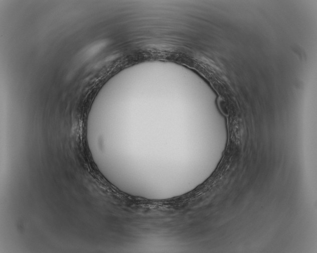X0000115111061200911101601
