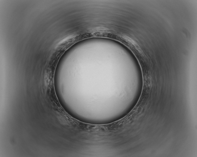 X0000115111063200911101601