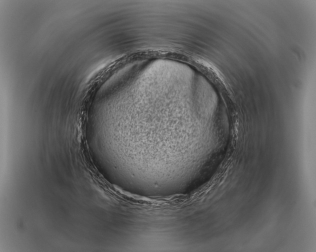 X0000115111064200911101601