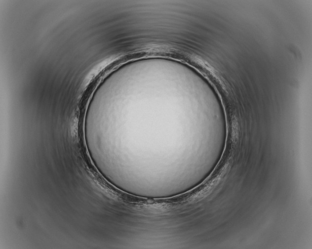 X0000115111066200911101600