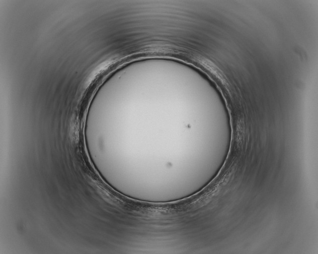 X0000115111067200911101600