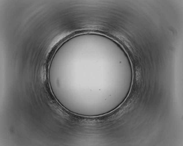 X0000115111069200911101600
