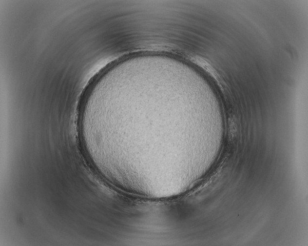 X0000115111071200911101600