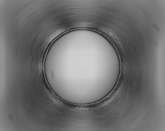 X0000115111073200911101600