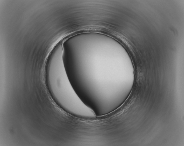 X0000115111075200911101600