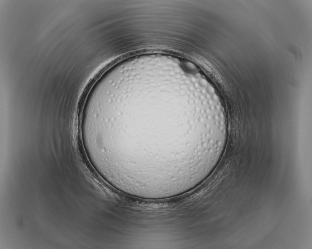 X0000115111076200911101600