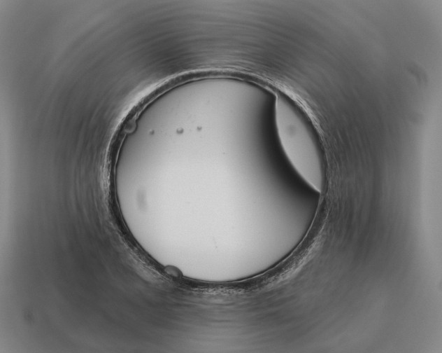 X0000115111077200911101600