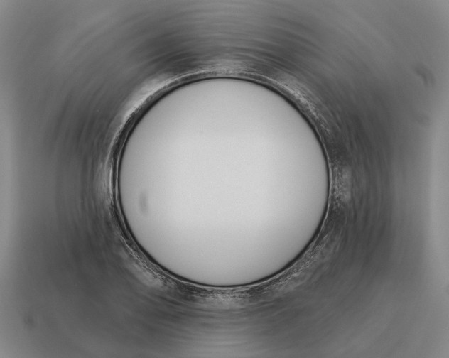 X0000115111078200911101600