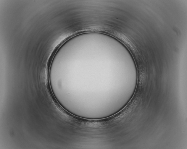 X0000115111079200911101600