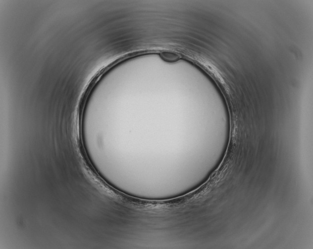 X0000115111080200911101600