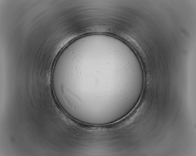 X0000115111081200911101600