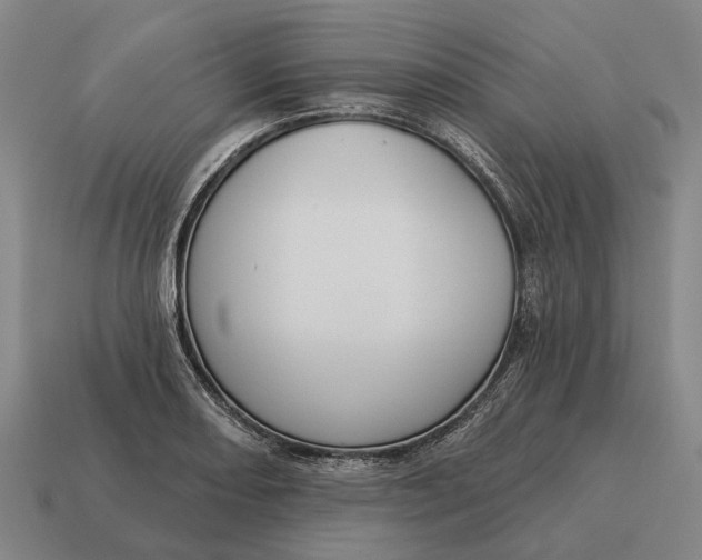 X0000115111082200911101600
