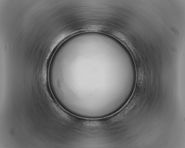 X0000115111083200911101600