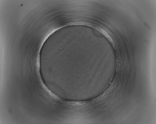X0000115111084200911101600