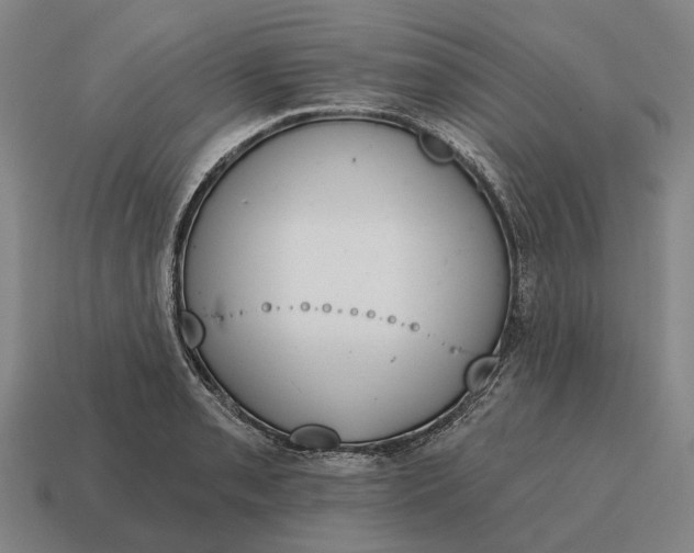 X0000115111085200911101600