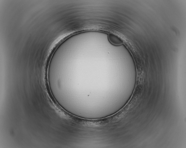 X0000115111086200911101600
