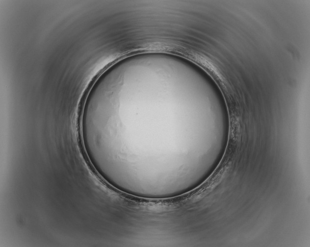 X0000115111087200911101600