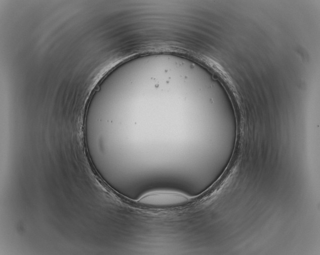 X0000115111089200911101600