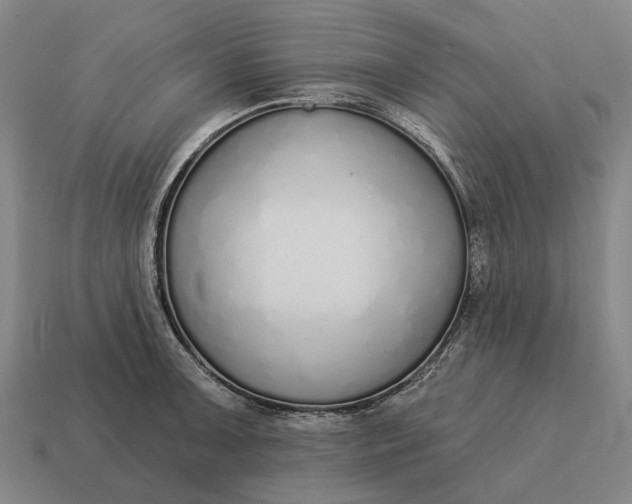 X0000115111091200911101600