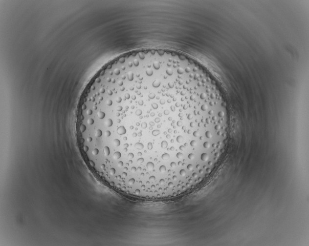 X0000115111094200911101600
