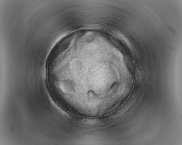 X0000115111095200911101600