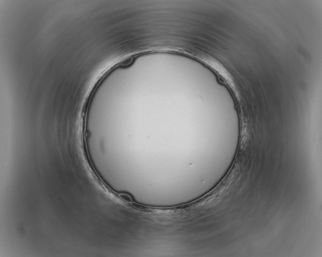X0000115111096200911101600